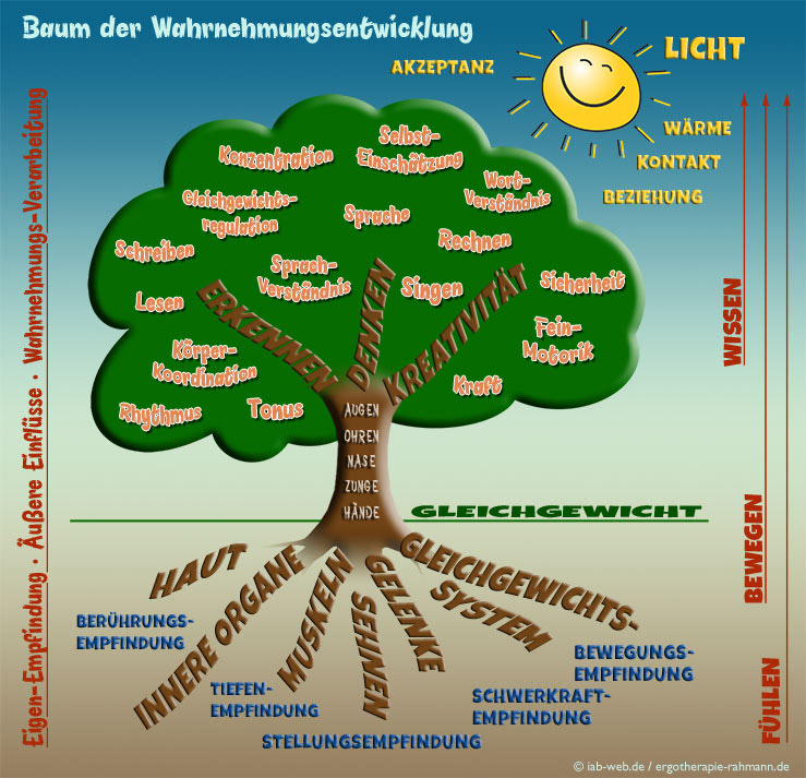 Grafik Wahrnehmungsbaum